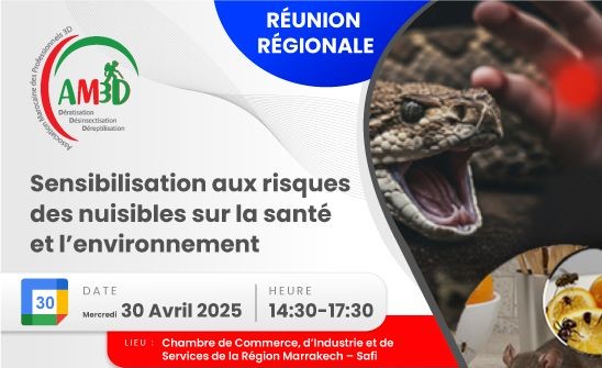 la 2ème réunion régionale AM3D à Marrakech