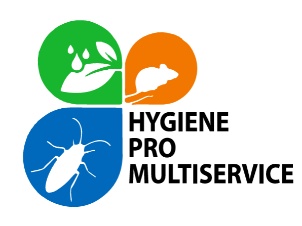 Hygiene pro multiservice